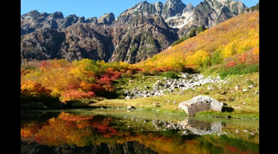 裏剱岳池の平の紅葉